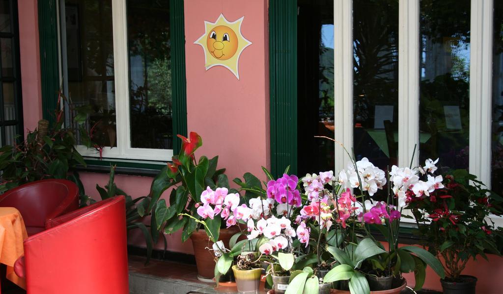 Hotel 5 Terre Nel Sole Дейва Марина Екстериор снимка